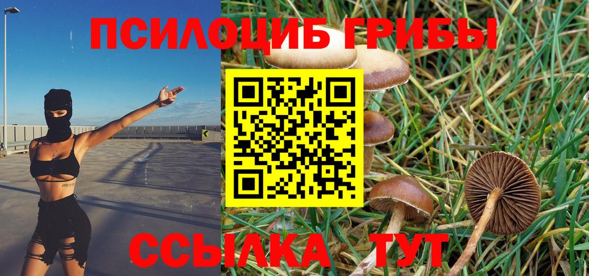 Псилоцибиновые грибы MAGIC MUSHROOMS Туапсе