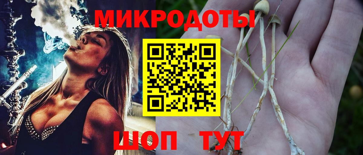Туапсе  наркошоп  Вход с VPN  Галлюциногенные грибы Psilocybine cubensis 
